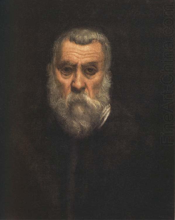 Self-Portrait, Jacopo Tintoretto